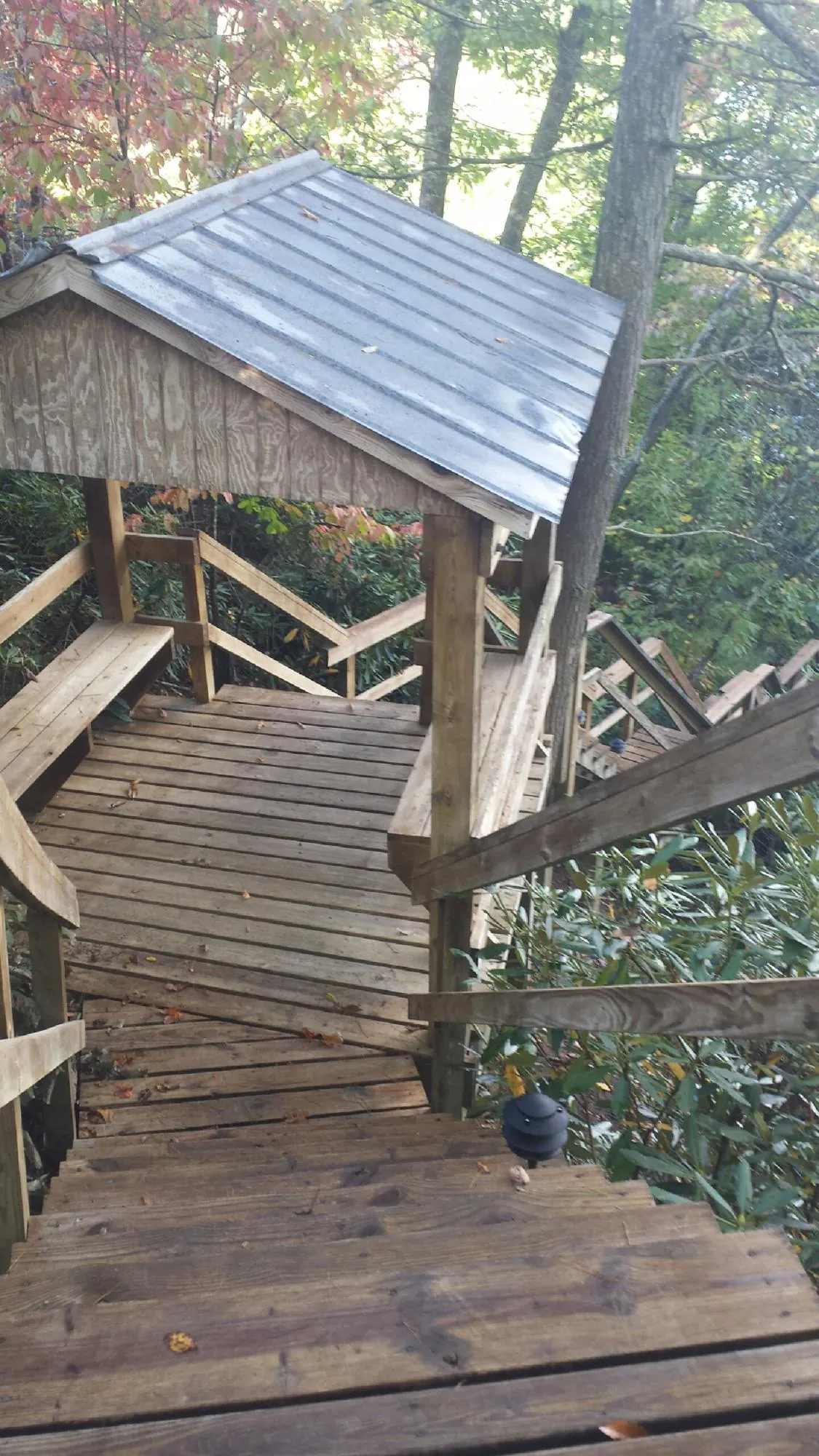 Metal roofed shelter over wooden steps on a wooded walkway — Skylight Repair & Installation work by our crew in Barwick